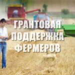 Смолян приглашают принять участие в конкурсном отборе на предоставление грантов «Агростартап»