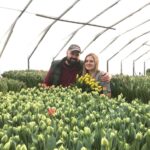 Разные тюльпаны – вестники… 8 Марта