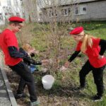 <strong>Почти 200 тысяч деревьев посадят весной в Смоленской области</strong>