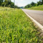 В Смоленской области закуплено новое оборудование для очистки обочин дорог