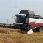 Лучшая урожайность зерна у Смоленского округа