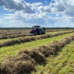 В колонии-поселении № 7 областного УФСИН завершилась заготовка кормов