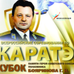 Всероссийские соревнования по каратэ «Кубок памяти Героя Советского Союза полковника Бояринова Г.И.» пройдут в Смоленске