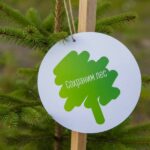 Смоленская область присоединилась к акции «Сохраним лес»