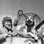 80 малоизвестных фактов к 80-летию Великой Победы