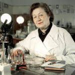 <strong>80 малоизвестных фактов о войне к 80-летию Великой Победы</strong>