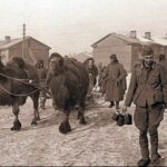 80 малоизвестных фактов к 80-летию Великой Победы