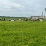 «Новое Замощье» встречает новый сезон
