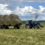 В колонии-поселении № 7 областного УФСИН завершился процесс заготовки кормов